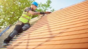 Best Skylight Installation and Repair  in Dawson, MN